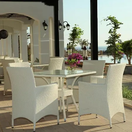 Oasis Club *